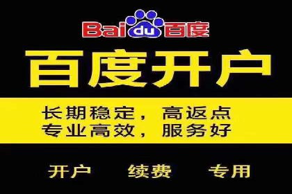 百度竞价代理实战技巧：经典案例深度解读